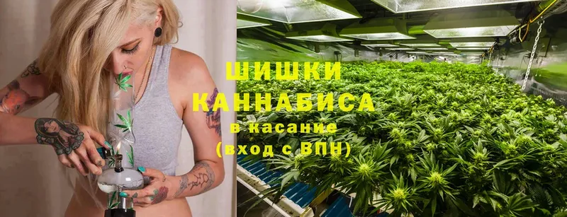 Конопля LSD WEED  наркотики  Новотитаровская 